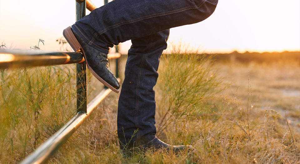 Cowboy leaning on metal fence on the ranch with ostrich boots