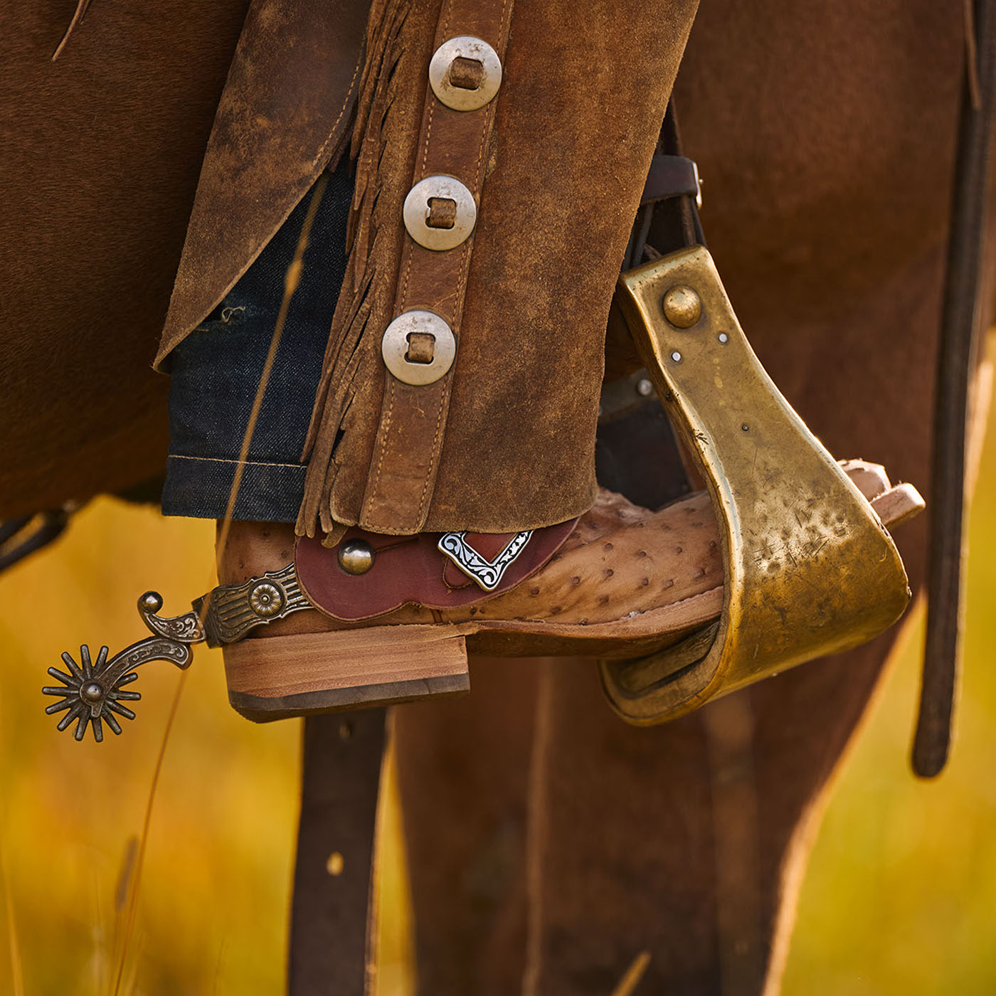 Close-up of a PRCA ostrich leather cowboy boot with a spur on a horse, set against a blurred natural background.