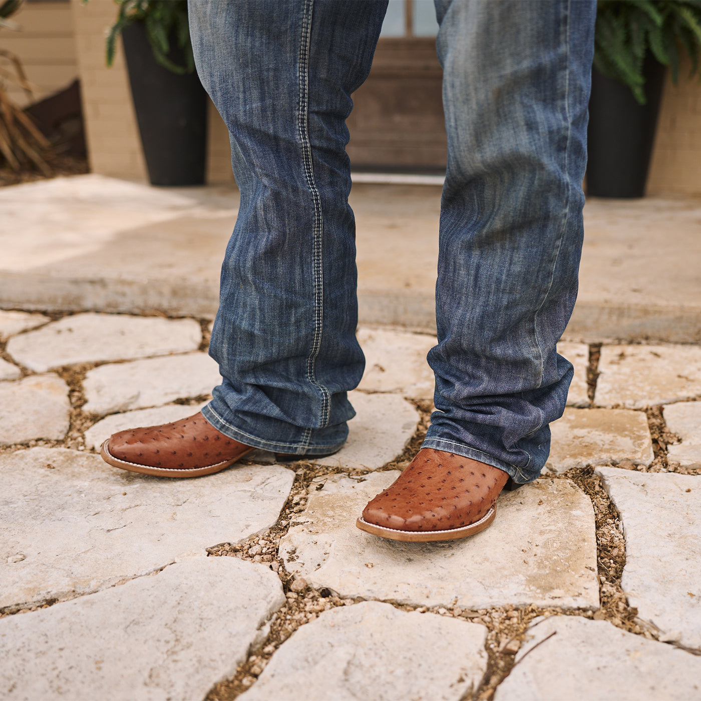 Bota vaquera de avestruz de pluma entera Durango® Premium Exotics™