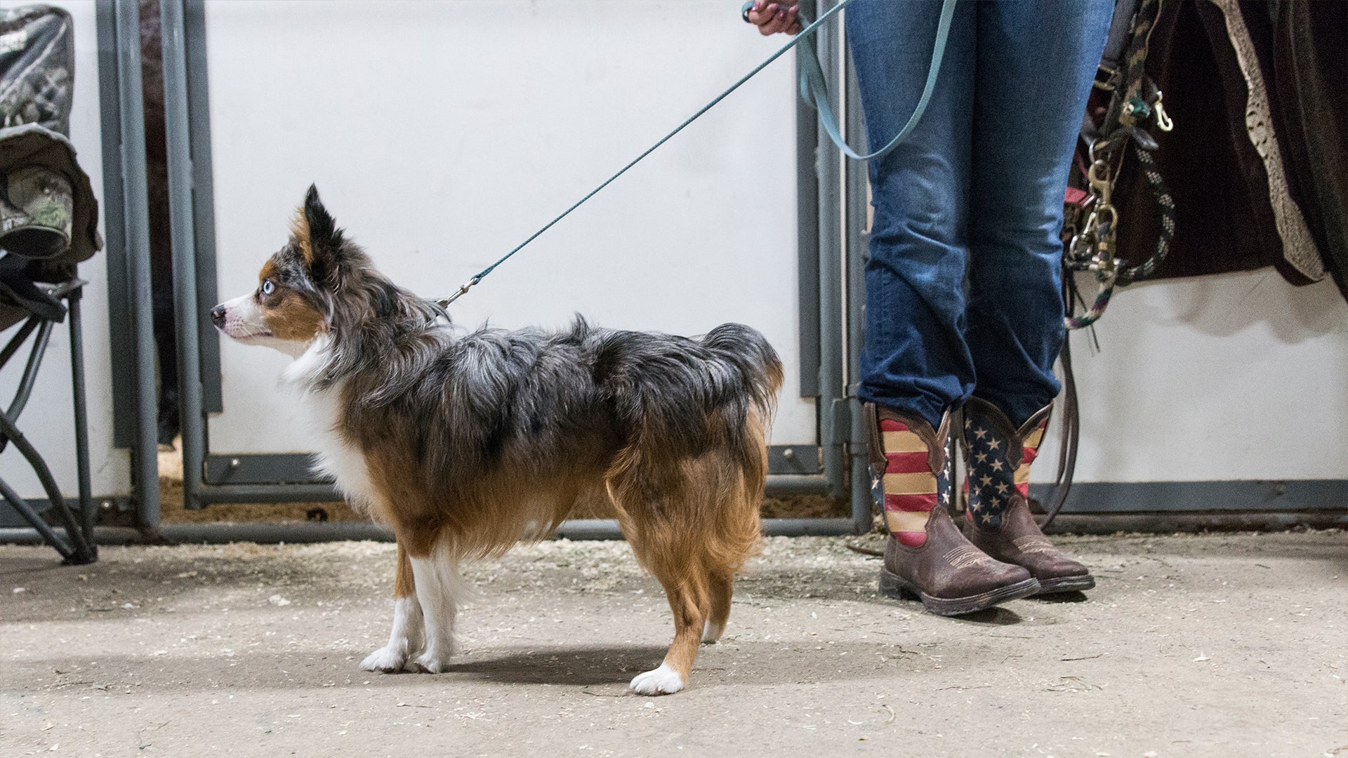Dog and it's owner at a horse show wearing Durango boots