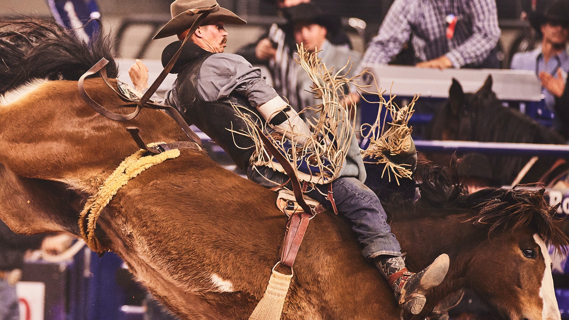 Orin Larsen, Bareback Rider, at the American Rodeo