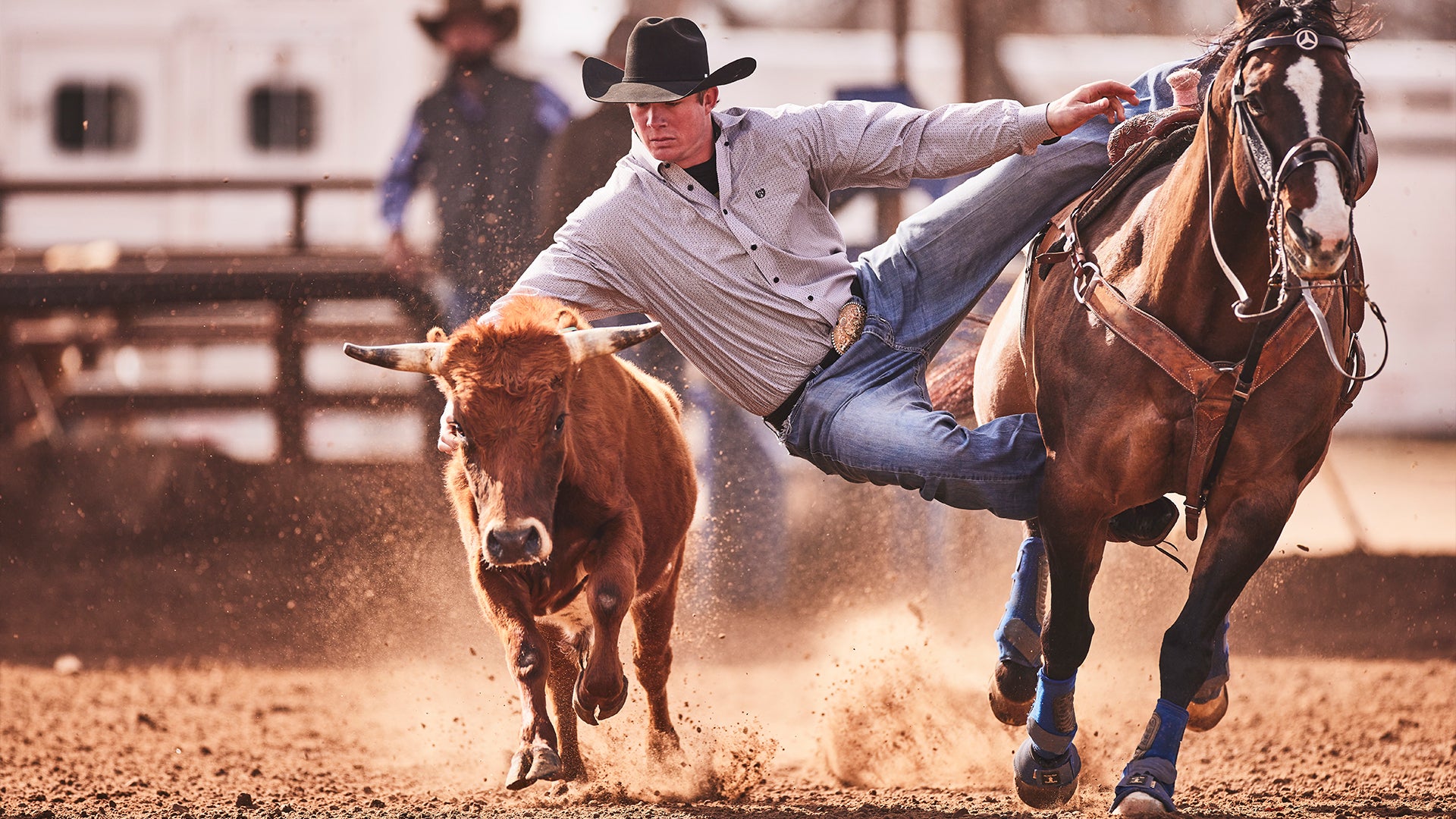 Ty Erickson, Steer Wrestler, in the arena